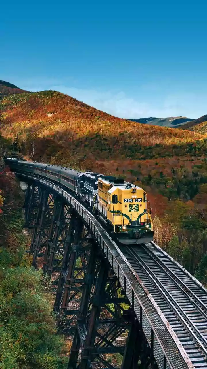 Vista-Dome Train Routes Along Konkan Line Attract Youth Seeking Independence Day Scenic Travel