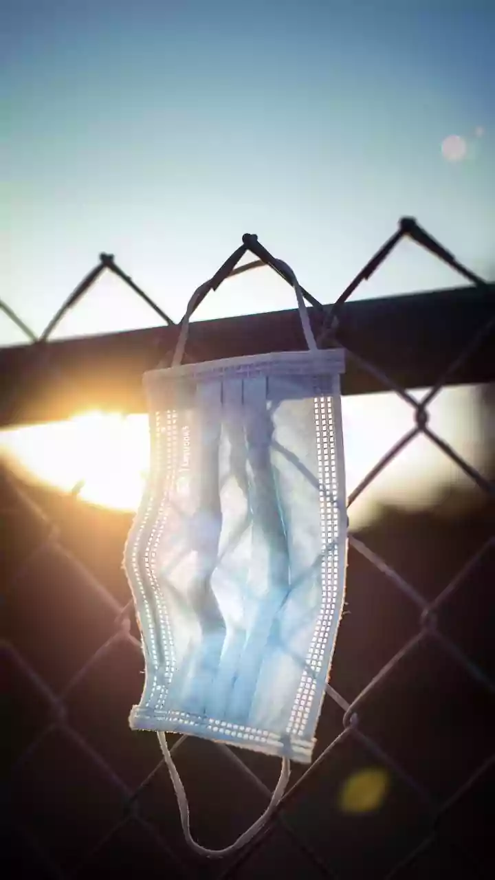 One Health: A Unified Approach to Global Health Security and Pandemic Preparedness