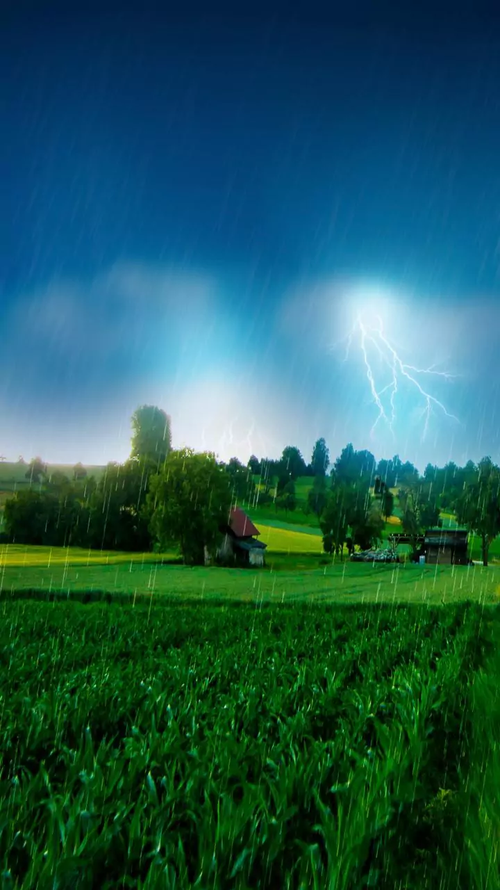 Marathwada: 50 Dead, Crops Damaged in Monsoon
