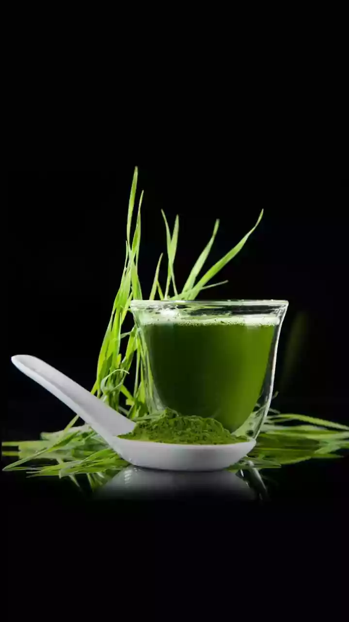 Dietary Restrictions Can Make Collagen Matcha Unsuitable for Some Consumers
