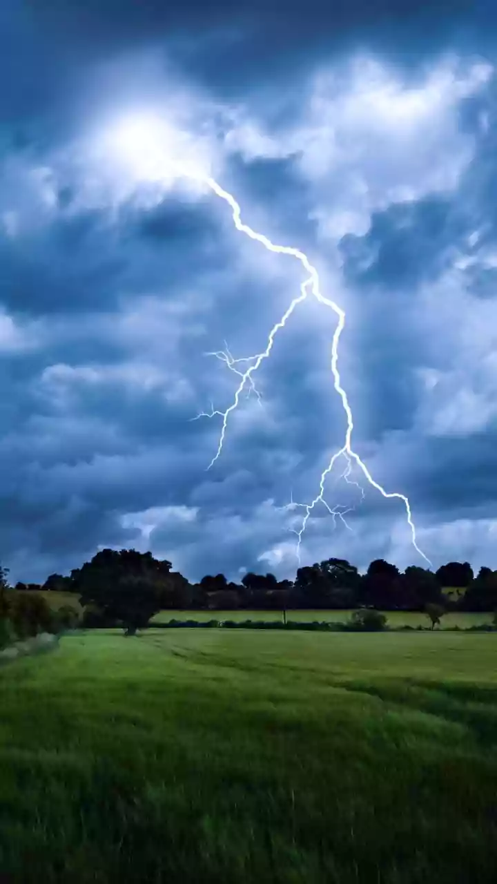 Lightning victim's kin tried cow dung revival