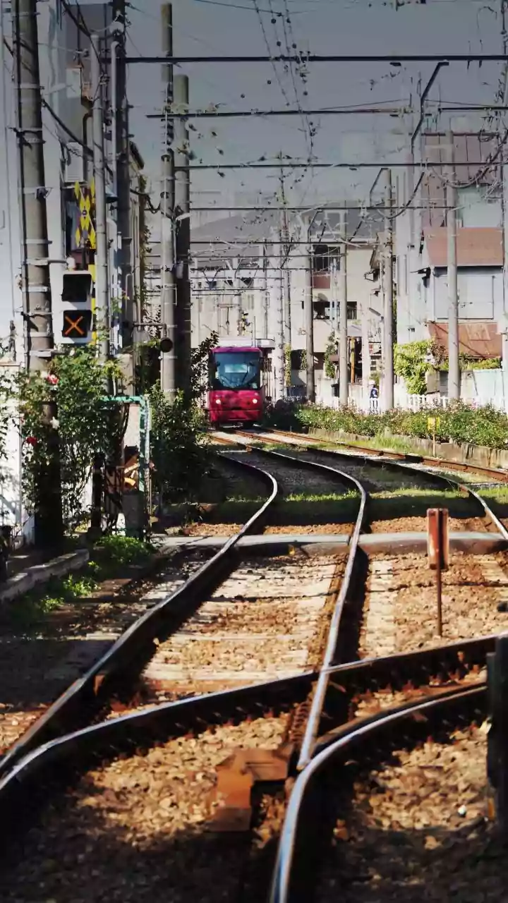 Snapped Overhead Wire On Western Railway Throws Mumbai Local Services Into Chaos, Strands Thousands For Five Hours