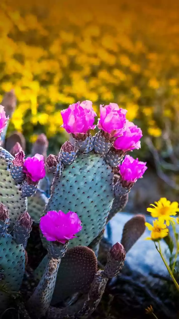 These Hidden Monsoon Spots Belong On Your Bucket List