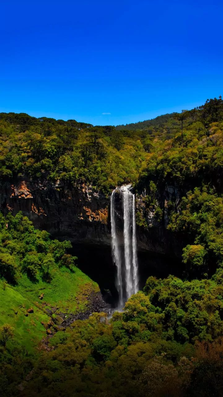 From Lonavala To Hidden Trails, Maharashtra Waterfalls See Fresh Travel Interest