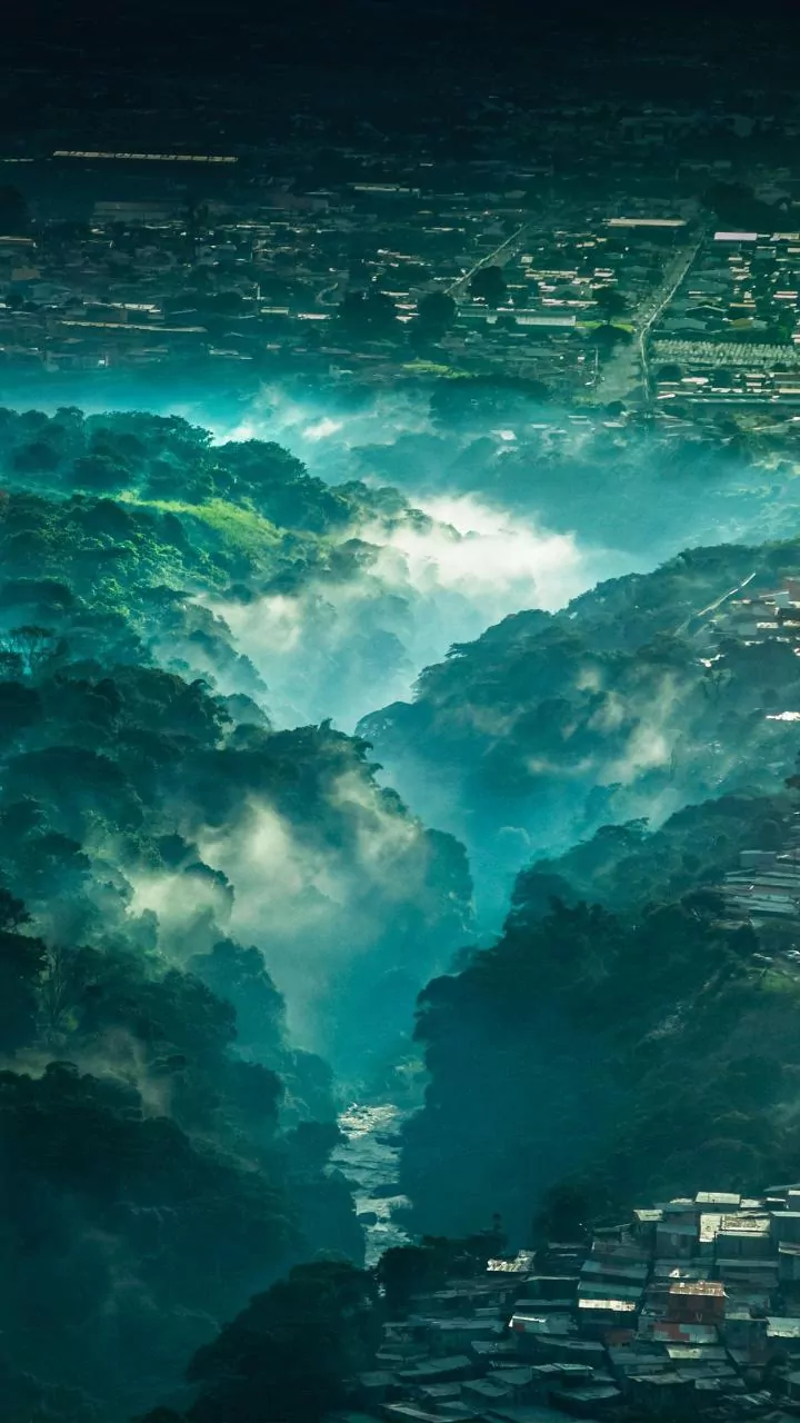 How Irregular Rainfall May Be Transforming Forest Growth Across India