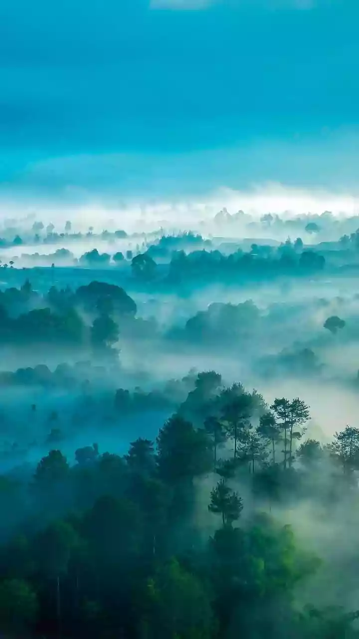 How Lush Coorg Coffee Estates Offer Relaxing Off Season Monsoon Stays Away From City Noise