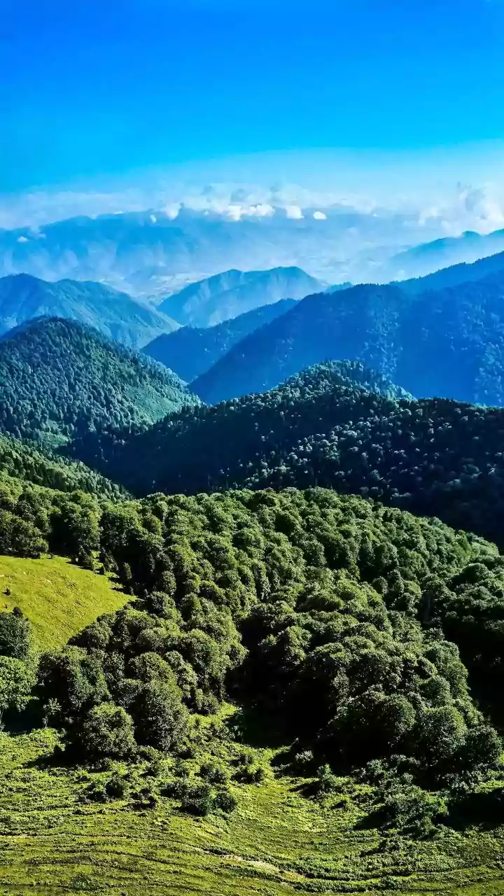 73-Year-Old 'Adventure Dadi' Soars Through Himachal Skies in Viral Paragliding Feat