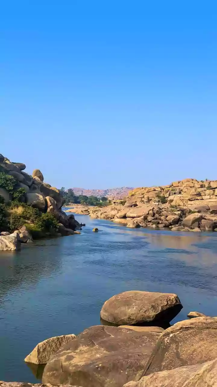 October-March Brings Favourable Conditions for Chambal Dolphin and Bird Trips