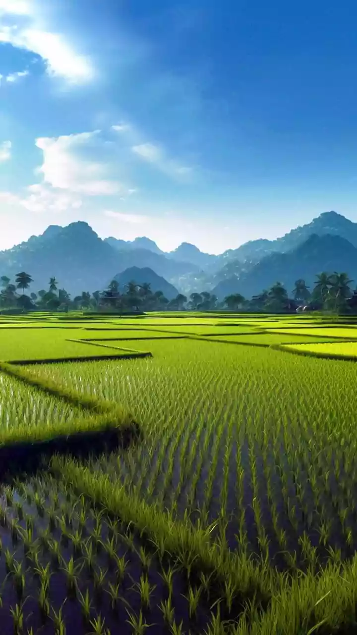 Will try to come up with best solution for farmers: CM Fadnavis on meet with Bachchu Kadu