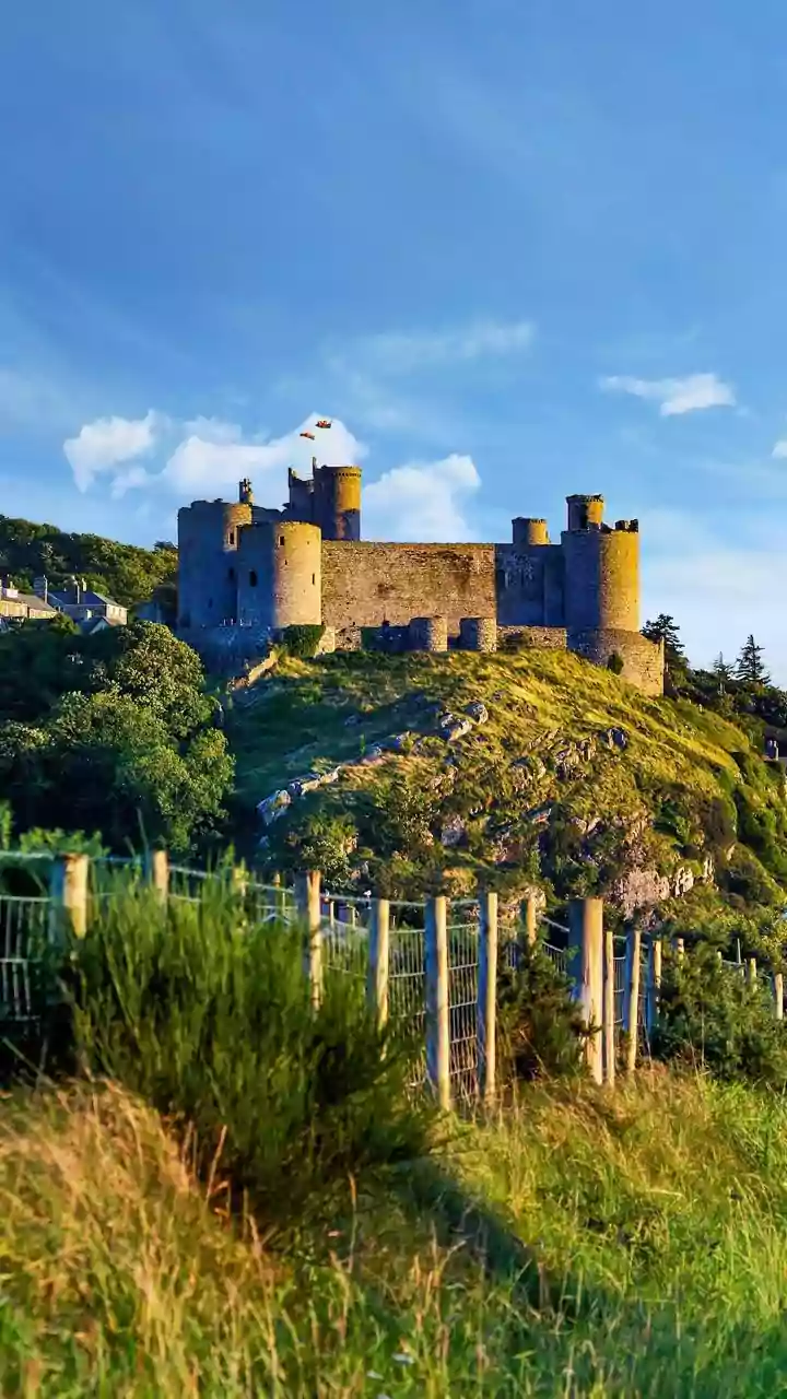 From Countryside Paths To Castles: A Portuguese Riding Itinerary