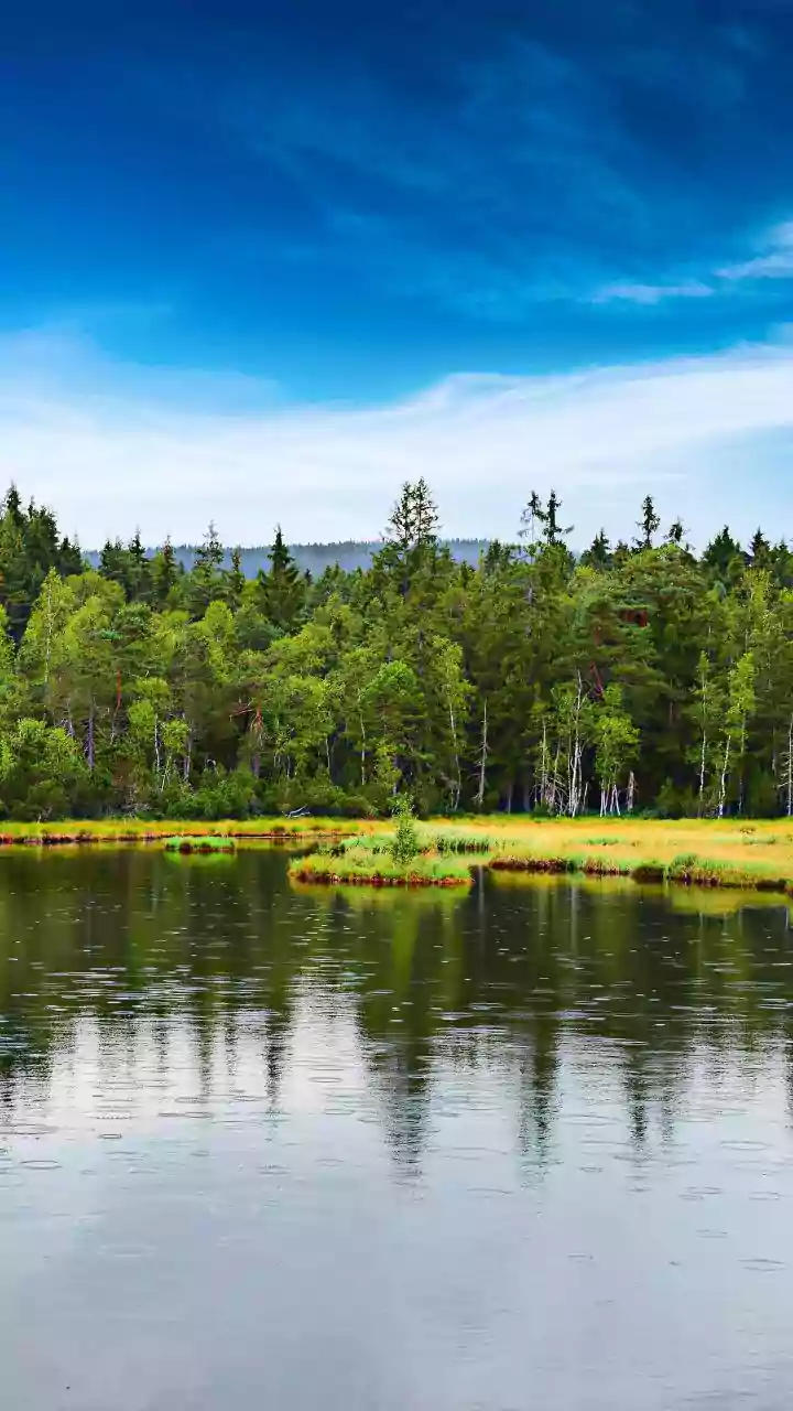 Experience Finland: A Free 7-Day Happiness Retreat in the World's Happiest Country!