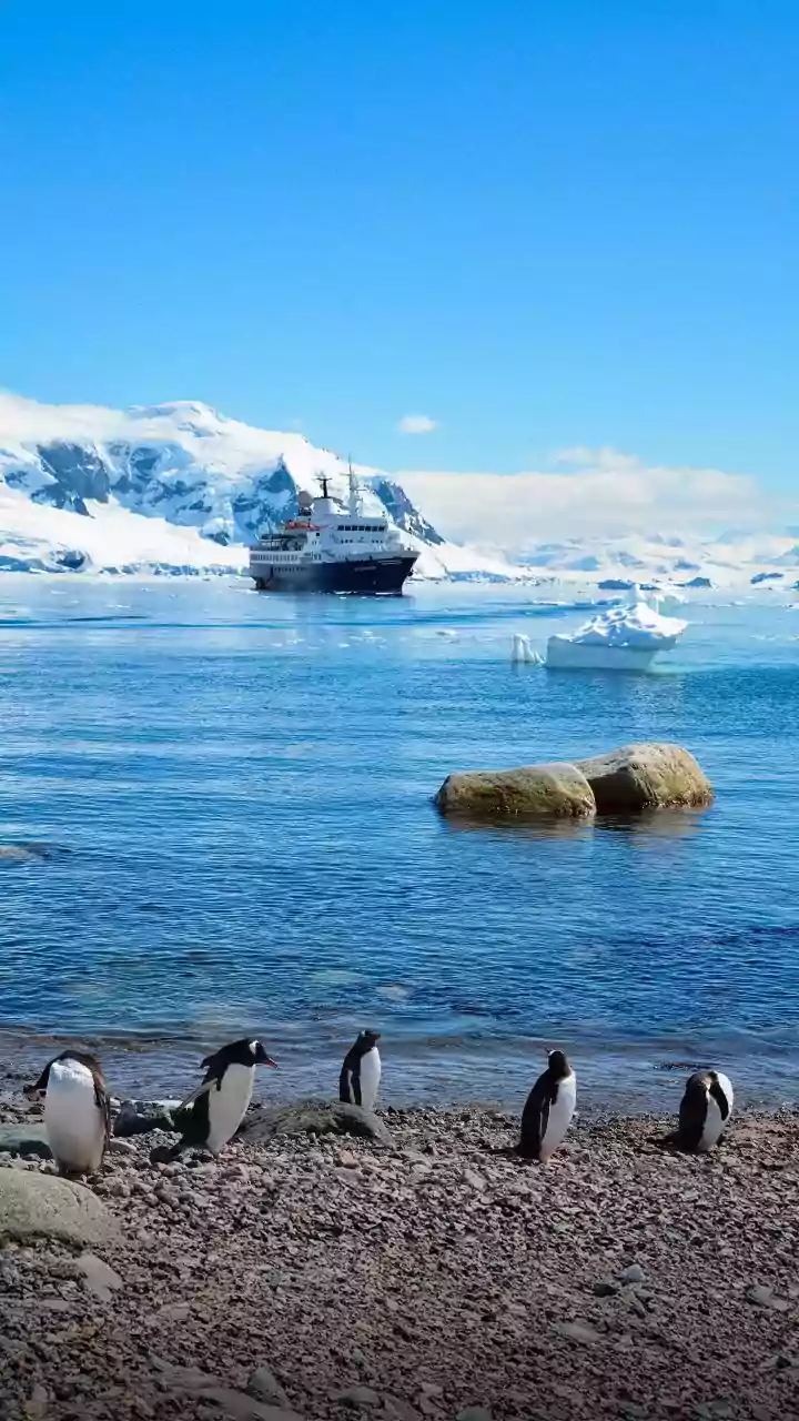 Inside MV Hondius Cruise: Luxury Polar Expedition Ship Making Headlines For Deadly Hantavirus Outbreak; Most Luxe Room Here Costs Approx ₹32 Lakh