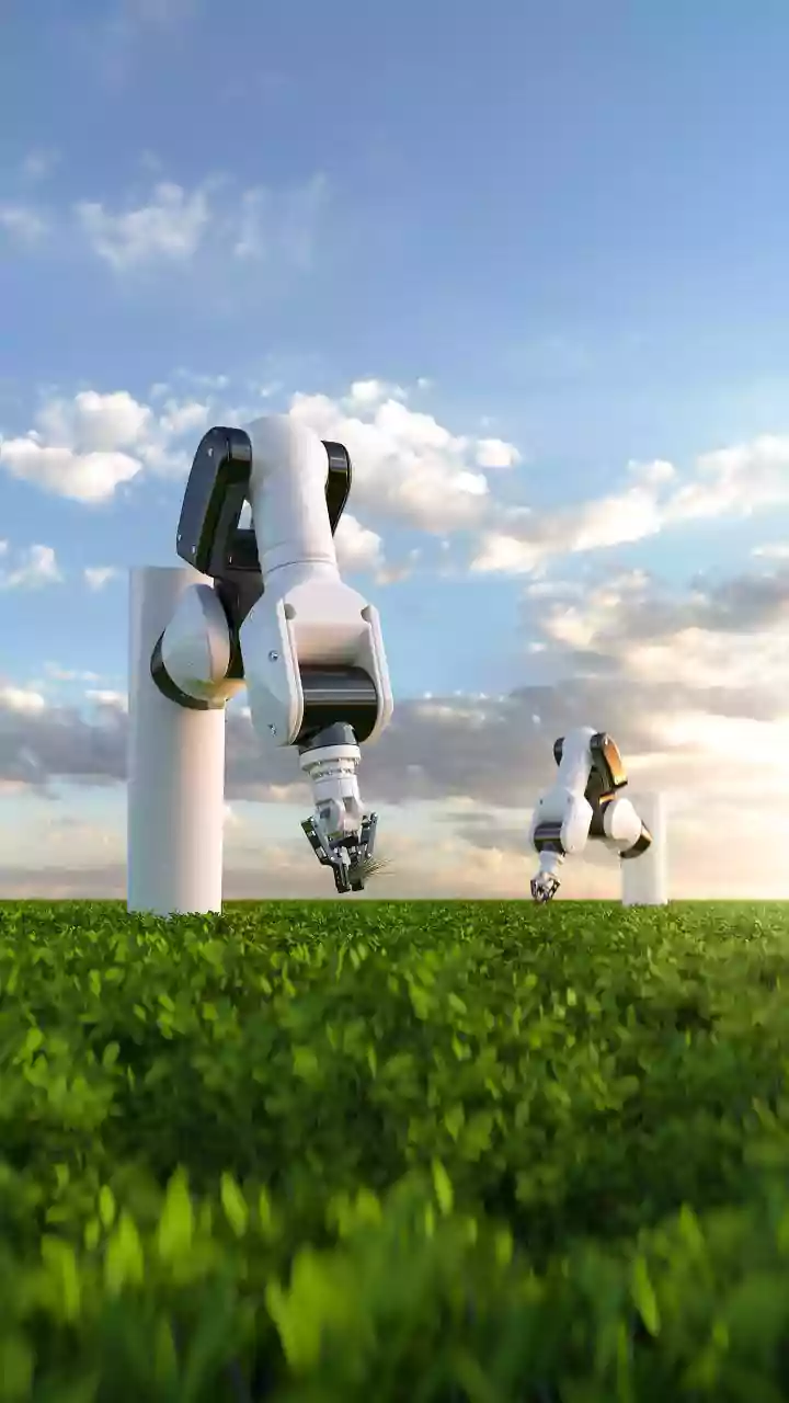 Late entry an edge, India can chase inclusive, resource-efficient AI path: Eco Survey