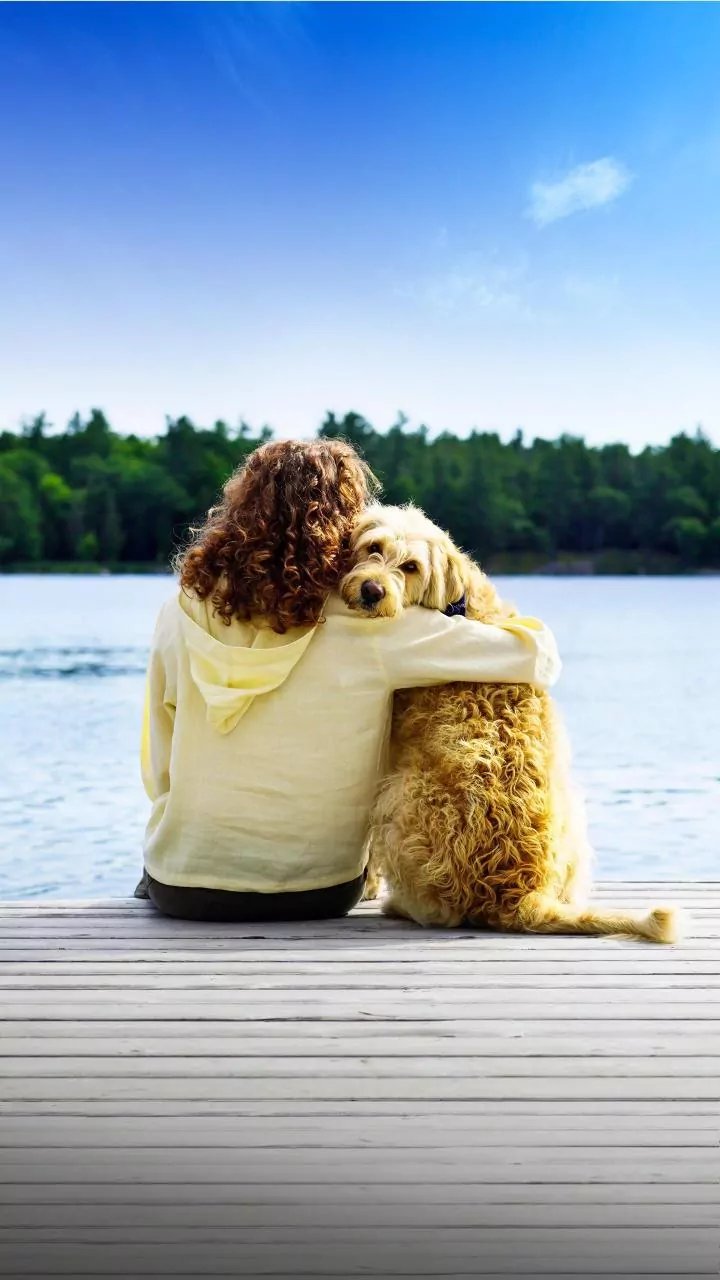 Scientists Examine How Pet Behaviour May Shape Human Emotional Health