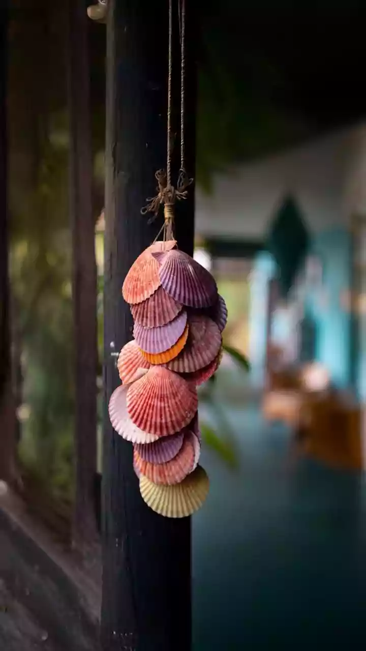 Choose a Shell Project That Replaces, Not Adds to, Garden Clutter