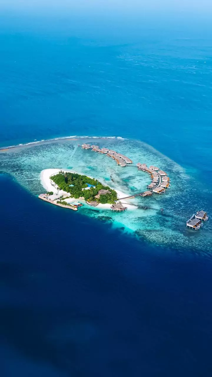 Related Stories banner