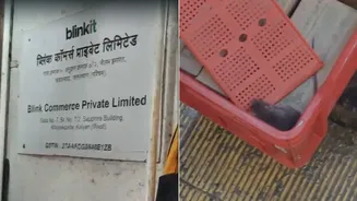 Rat Found Inside Ice Cream Rack At Blinkit Store In Maharashtra's Kalyan: WATCH