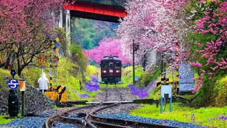 Vista-Dome Coaches Enhance Scenic Konkan Rail Travel For Independence Day Weekend Escapes Today