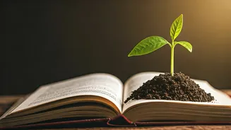 Perfect Score Achieved: How Parental Support, Not Pressure, Fuels True Academic Success