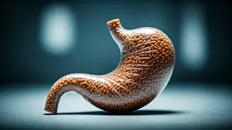 Related Stories banner