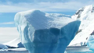 The Long-Term Ice Loss Angle In The A New Antarctica Study Story