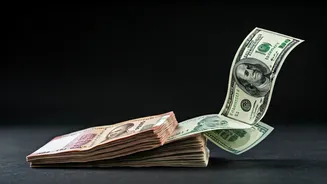 Indian Funds See Outflows: What's Driving the Trend?