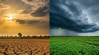 West Bengal Weather: South Swelters in Dry Heat, North Bathed in Rain - A Stark April Divide