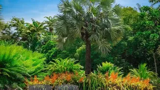 Native Plants Are Taking Over Urban Gardens This Season