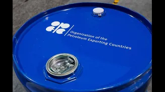 What Is OPEC & Why Did UAE Leave? How Does It Control Oil Prices? Has Any Other Country Left In Past?