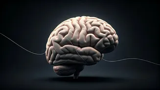 Related Stories banner