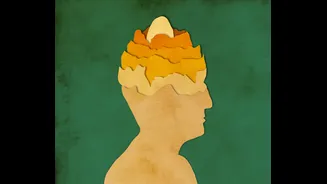 O que acontece com o cérebro ao comer um ovo por dia, cinco vezes por semana