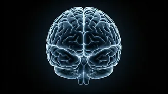 Unlocking Interview Success: The 7-38-55 Rule