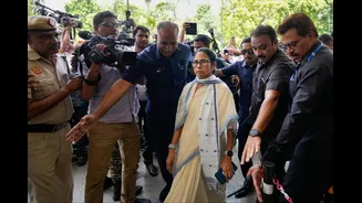 NDA Support, Leadership Battle, Defection Row: How Internal Turmoil Has Pushed TMC To The Brink