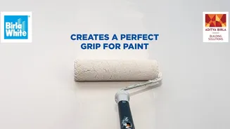 Want your paint to really grip the wall? Start with Birla White Primer