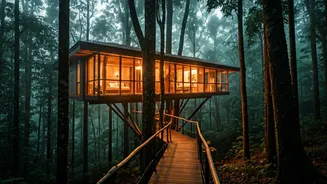 Why Moody Luxury Treehouses In Coorg Are Essential
