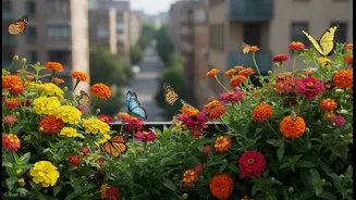 Simple Balcony Gardening That Supports Butterflies Naturally