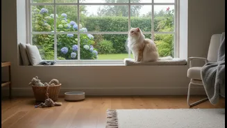 Cat Parents Need Better Rainy-Season Cleaning Habits