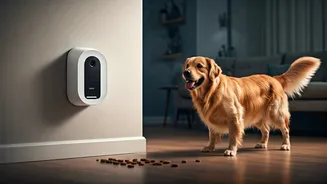 Track Your Dog Online Via Interactive Tech Treat Dispensing Cameras
