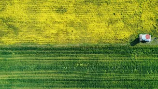 India Plans Green Urea Production with 7.24 Lakh MT Green Ammonia Procurement