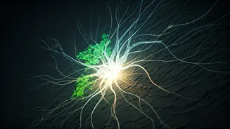 AI in Indian Mental Healthcare: Bridging Gaps and Augmenting Therapists