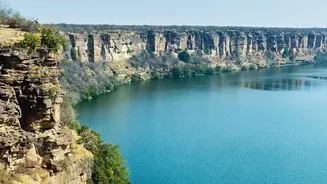 Chambal Dolphin Trips Pair Wildlife Viewing with a Broad River-Conservation Story