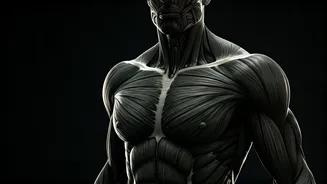 Hrithik Roshan's Transformation Journey for War 2