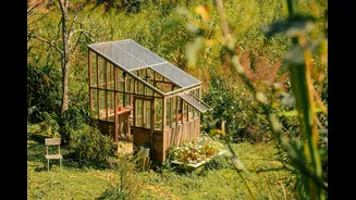 Benefits of Solar Dryers for Agricultural Products in India
