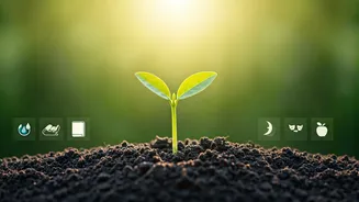 World Health Day 2026: Cultivate a Healthier You with 5 Daily Habits