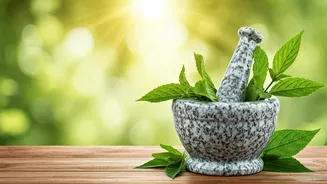 Ayurvedic Wisdom: Preventing Polio with Ancient Practices