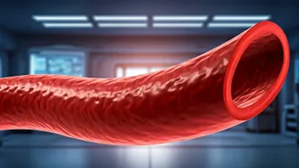 Protect Your Heart: Healthy Arteries in India