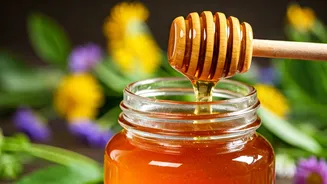 Six Global Havens for Exquisite Natural Honey: A Sweet Journey