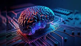 Scientists build AI that maps which brain regions age fastest