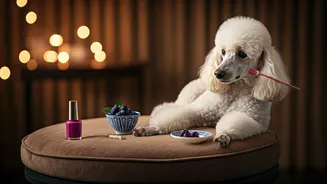 Pet Grooming Is Now More Than A Bath