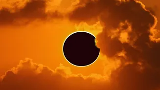 How The August 12 Eclipse Helped Scientists Observe The Sun's Corona